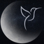 Willow, Hummingbird & Hare psychic services