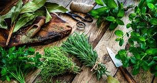 The Witch’s Herbal First Aid Kit